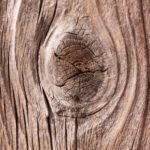 Gids over eikenhout: sterk en duurzaam hardhout!